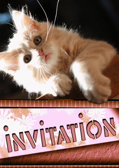 Carte Invitation Avec Un Petit Chat Roux : Envoyer une 